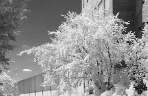 Falls of the Vermillion River, Hastings, Minnesota